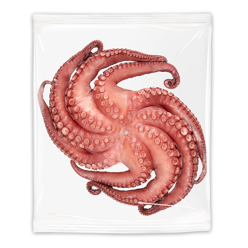 Pulpo